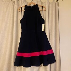 Eliza J Sleeveless A-Line Halter Dress in Blue or Black for Prom